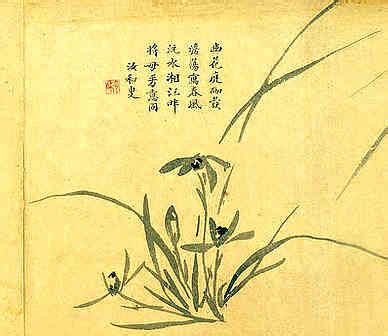 许姓女孩名字大全2023_许姓女孩取名2023年,第12张 许姓女孩名字大全2023_许姓女孩取名2023年,第12张